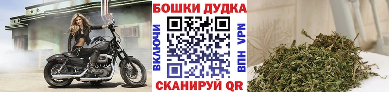 Купить закладки  Новоульяновск  Бошки Шишки Amnesia 